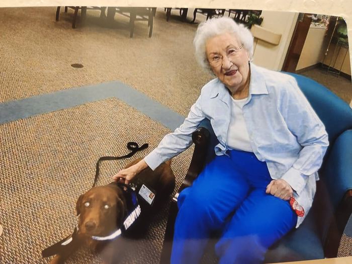 Sadie or Maddie the therapy dog visiting a senior care facility